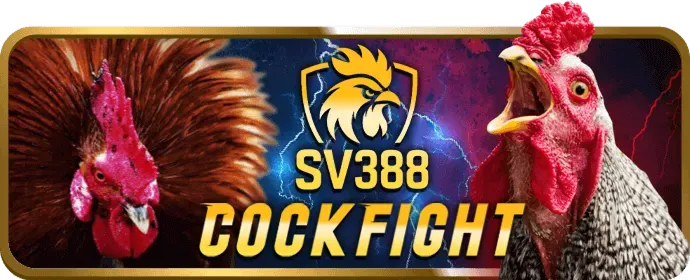Biết khi nào nên dừng lại khi chơi slot