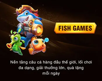 Phân tích hiệu suất và cá nhân hóa
